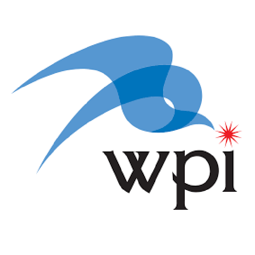 WPI Project