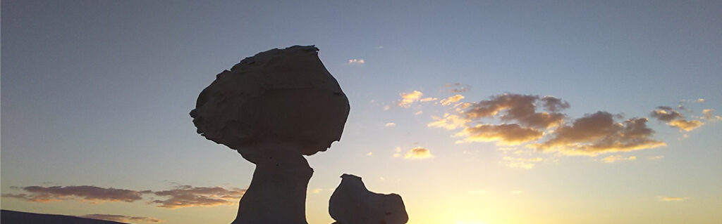 外国人研究者招へい